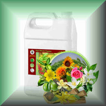 Sensational™ Floral-Spice Massage Oil | Couples & Aromatherapy in a gallon jug, bulk, wholesale size.