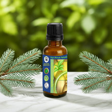 Silver Fir Needle Essential Oil (Abies alba) for Skin Care, Aromatherapy & Natural Perfumery