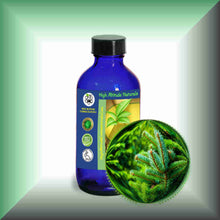 Silver Fir Needle Essential Oil (Abies alba) for Skin Care, Aromatherapy & Natural Perfumery 4oz