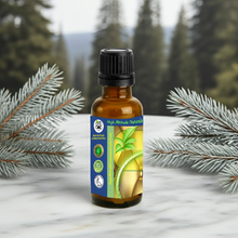 Silver Fir Needle Essential Oil (Abies alba) for Skin Care, Aromatherapy & Natural Perfumery