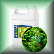 Silver Fir Needle Essential Oil (Abies alba) for Skin Care, Aromatherapy & Natural Perfumery gallon bulk size wholesale