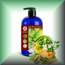 Songs of the Orient™ Body Massage Oil | Champaca, Jasmine & Sandalwood in a 16 fl oz bottle with pump dispenser.