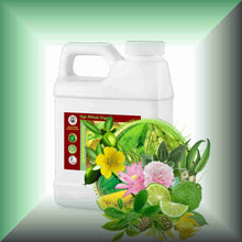 Summer Rain™ Fresh Green & Aquatic Floral Body Massage Oil in a 16 fl oz jug.