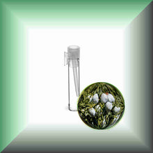 Cedarwood Essential Oil (Texas, Juniperus mexicana) – Aromatherapy, Skin Care & Perfumery in a glass vial, sample size.
