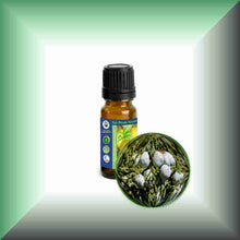 Cedarwood Essential Oil (Texas, Juniperus mexicana) – Aromatherapy, Skin Care & Perfumery in a 10 ml glass bottle with euro dropper cap.