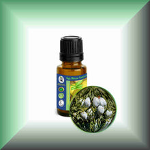 Cedarwood Essential Oil (Texas, Juniperus mexicana) – Aromatherapy, Skin Care & Perfumery in a 15 ml glass bottle with euro dropper cap.