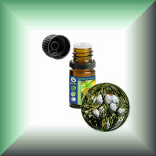 Cedarwood Essential Oil (Texas, Juniperus mexicana) – Aromatherapy, Skin Care & Perfumery in a 5 ml glass bottle with euro dropper cap.
