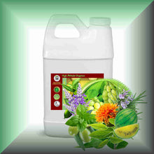 Touch of Mint™ Facial Massage Oil for Oily Skin & Gua Sha in a 64 fl oz jug, bulk, wholesale size.