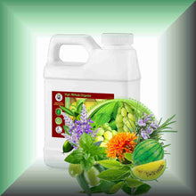 Touch of Mint™ Facial Massage Oil for Oily Skin & Gua Sha in a 16 fl oz jug.