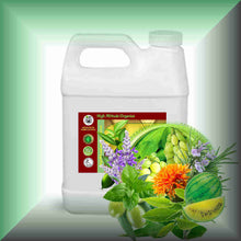 Touch of Mint™ Facial Massage Oil for Oily Skin & Gua Sha in a 32 fl oz jug.