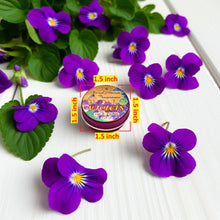 VIOLETS Perfume - Eau de Parfum - Solid Balm (Viola Odorata, Orris, Lavender, Heliotrope, Hyacinth, Vanilla) - Natural Fragrance - Wedding Party Travel Seminar Guest Favors Gifts