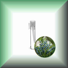 Cedarwood Essential Oil (Virginian, Juniperus virginiana) – Aromatherapy, Skin Care & Perfumery in a glass vial, sample size