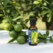 bottle of HIGH ALTITUDE NATURALS green mandarin zest essential oil surrounded by unripe green mandarins
