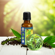 Black Peppercorn (Black Pepper, Piper Nigrum) Essential Oil