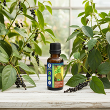 Black Peppercorn (Black Pepper, Piper Nigrum) Essential Oil