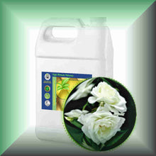White Rose Essential Oil (Rosa Alba Otto) | Skin Care, Aromatherapy & Natural Perfumery