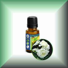 White Rose Essential Oil (Rosa Alba Otto) | Skin Care, Aromatherapy & Natural Perfumery