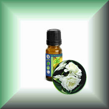 White Rose Essential Oil (Rosa Alba Otto) | Skin Care, Aromatherapy & Natural Perfumery