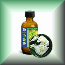 White Rose Essential Oil (Rosa Alba Otto) | Skin Care, Aromatherapy & Natural Perfumery