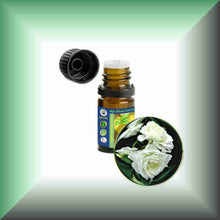 White Rose Essential Oil (Rosa Alba Otto) | Skin Care, Aromatherapy & Natural Perfumery