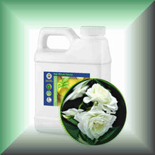 White Rose Essential Oil (Rosa Alba Otto) | Skin Care, Aromatherapy & Natural Perfumery