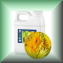 Wild Chrysanthemum Essential Oil (Dendranthema Indicum)