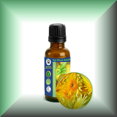 Wild Chrysanthemum Essential Oil (Dendranthema Indicum)