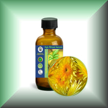 Wild Chrysanthemum Essential Oil (Dendranthema Indicum)