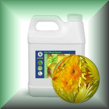 Wild Chrysanthemum Essential Oil (Dendranthema Indicum)