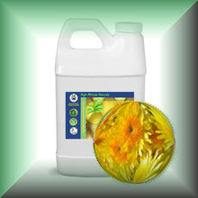 Wild Chrysanthemum Essential Oil (Dendranthema Indicum)