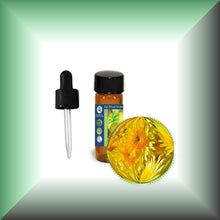 Wild Chrysanthemum Essential Oil (Dendranthema Indicum)