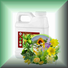 Wild Fields Body Massage Oil | Wildflowers, Herbs & Meadow in a 16 fl oz jug.