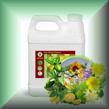 Wild Fields Body Massage Oil | Wildflowers, Herbs & Meadow in a 32 fl oz jug.
