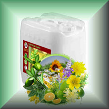 Wild Fields Body Massage Oil | Wildflowers, Herbs & Meadow in a 5-gallons jerrycan, bulk wholesale size.