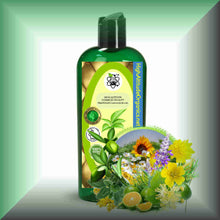 Wild Fields Body Massage Oil | Wildflowers, Herbs & Meadow in a 8 fl oz bottle with dispenser cap.