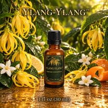 Ylang-Ylang™ Perfume & Cologne Concentrate – Creamy Tropical Floral, Jasmine & Citrus | Oil-Soluble - 1oz glass bottle with euro dropper.