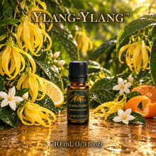 Ylang-Ylang™ Perfume & Cologne Concentrate – Creamy Tropical Floral, Jasmine & Citrus | Oil-Soluble - 10ml glass bottle with euro dropper.