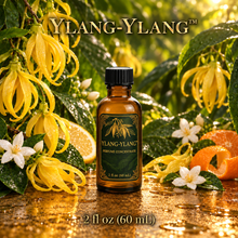 Ylang-Ylang™ Perfume & Cologne Concentrate – Creamy Tropical Floral, Jasmine & Citrus | Oil-Soluble - 2oz glass bottle with cap.