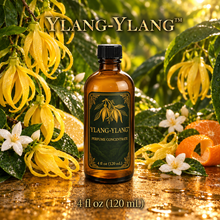 Ylang-Ylang™ Perfume & Cologne Concentrate – Creamy Tropical Floral, Jasmine & Citrus | Oil-Soluble - 4oz glass bottle with cap. 