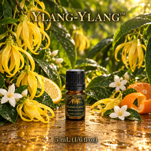 Ylang-Ylang™ Perfume & Cologne Concentrate – Creamy Tropical Floral, Jasmine & Citrus | Oil-Soluble - 5ml glass bottle with euro dropper.