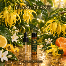 Ylang-Ylang™ Perfume & Cologne Concentrate – Creamy Tropical Floral, Jasmine & Citrus | Oil-Soluble - 3.7ml Dram glass vial.