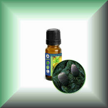 Cedarwood Essential Oil (Atlas, Cedrus atlantica) – Aromatherapy, Skin Care & Perfumery in a 10 ml glass bottle with euro dropper.