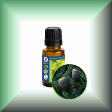 Cedarwood Essential Oil (Atlas, Cedrus atlantica) – Aromatherapy, Skin Care & Perfumery in a 15 ml glass bottle with euro dropper.