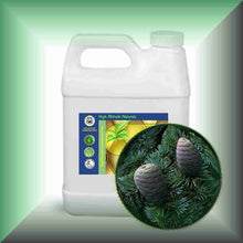 Cedarwood Essential Oil (Atlas, Cedrus atlantica) – Aromatherapy, Skin Care & Perfumery in a 32 fl oz jug.