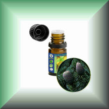 Cedarwood Essential Oil (Atlas, Cedrus atlantica) – Aromatherapy, Skin Care & Perfumery in a 5 ml glass bottle with euro dropper.