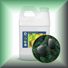 Cedarwood Essential Oil (Atlas, Cedrus atlantica) – Aromatherapy, Skin Care & Perfumery in a 64 fl oz jug.