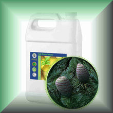 Cedarwood Essential Oil (Atlas, Cedrus atlantica) – Aromatherapy, Skin Care & Perfumery in a Gallon jug, bulk, wholesale size.