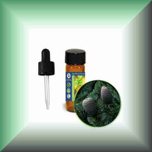 Cedarwood Essential Oil (Atlas, Cedrus atlantica) – Aromatherapy, Skin Care & Perfumery in a glass dram vial with dropper.