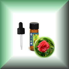 Carnation Absolute Oil (Dianthus Caryophyllus)