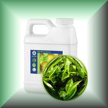 Green Tea Seed Oil for Face, Skin, Hair & Massage - Virgin, in a 16 fl oz jug.